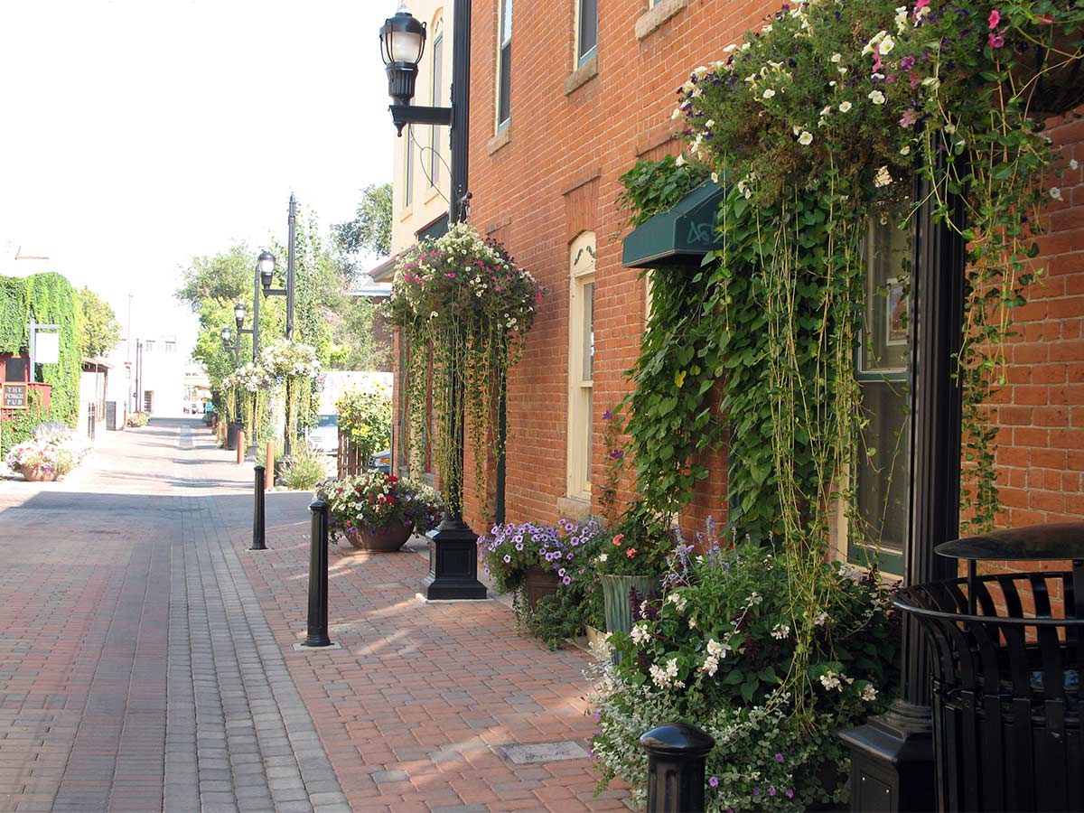 Fort Collins Alleyway Buildings