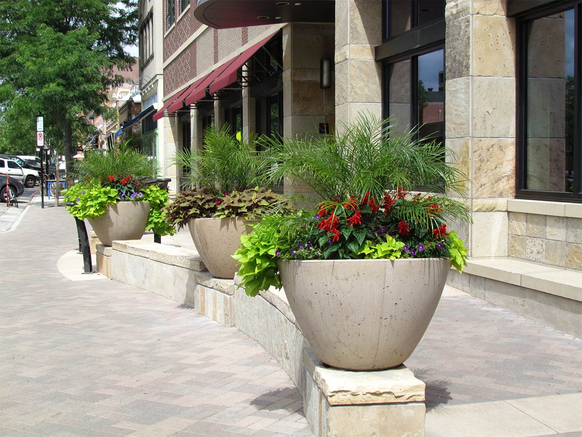 Fort Collins Alleyway Flower Pots