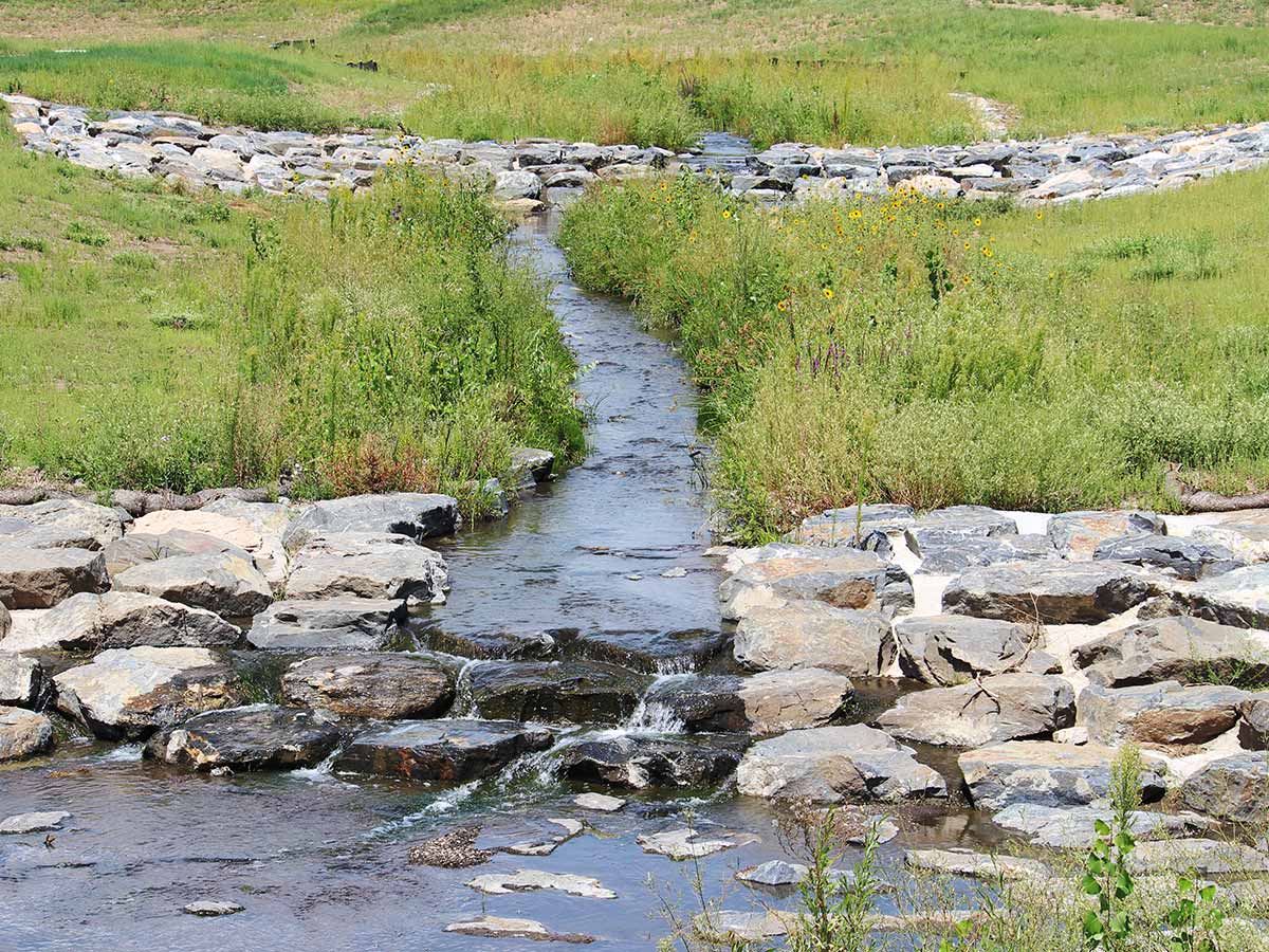 Green Gables Stream